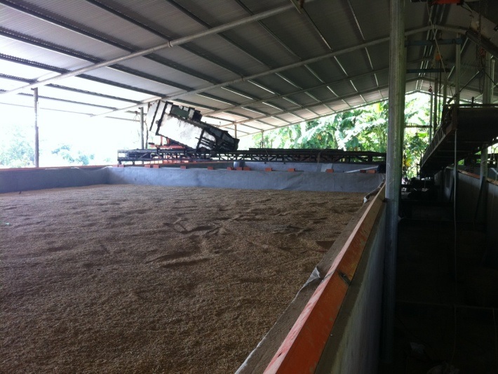 catalogue cac thiet bi trong lo say lua 5