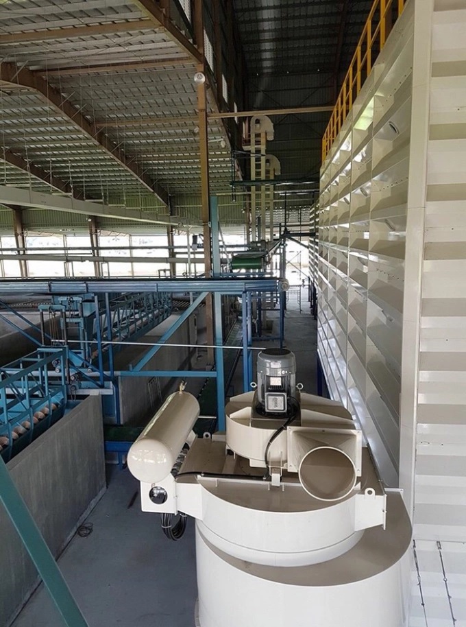 hai lua che tao lo say xuat khau 3